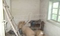 Продава КЪЩА, с. Градище, област Габрово, снимка 7