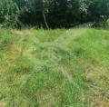 Продава ПАРЦЕЛ, област Пловдив, с. Крумово • 33740 € • 14655114 — Holmes.bg