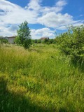 Продава  Парцел област Перник , гр. Земен , 1200 кв.м | 57682208 - изображение [5]