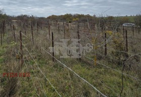 Вила с. Осеново, област Варна 12