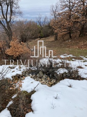 ������� ������ | Imot.bg � ����� ������ 5