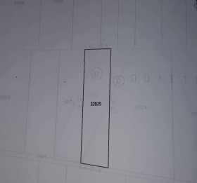 ����� ������� ������,���� �����, ��. �����