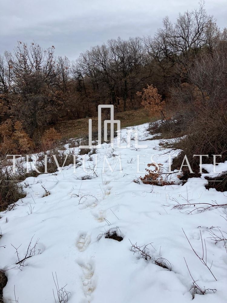 Продава ПАРЦЕЛ, с. Брестовица, област Пловдив, снимка 4 - Парцели - 53093221