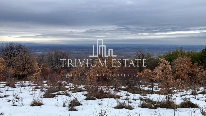 Продава ПАРЦЕЛ, с. Брестовица, област Пловдив