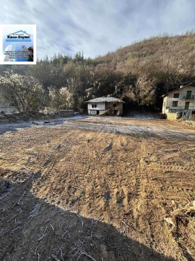 ����� ������� ������,�. ������ ��������, ������ �����