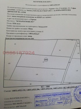 ����� ������� ������,���� �����, �. ������