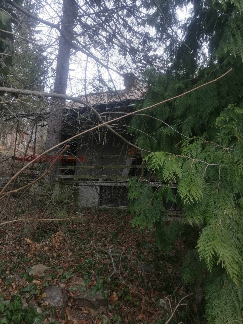 Продава ВИЛА, с. Свидня, област София област, снимка 5 - Вили - 52785672