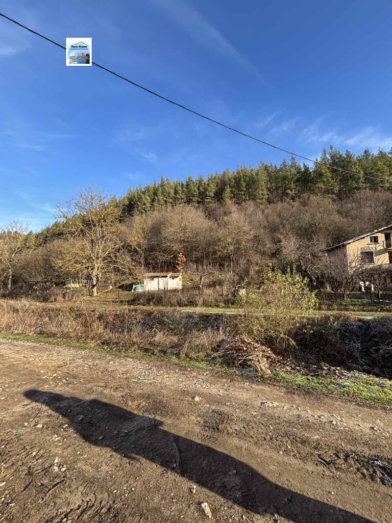 Продава ПАРЦЕЛ, с. Голема Раковица, област София област, снимка 2 - Парцели - 52887974