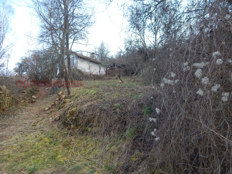 Продава ПАРЦЕЛ в област Перник, с. Радово - 404 кв.м / 3 200 € » 6 258.66 лв.