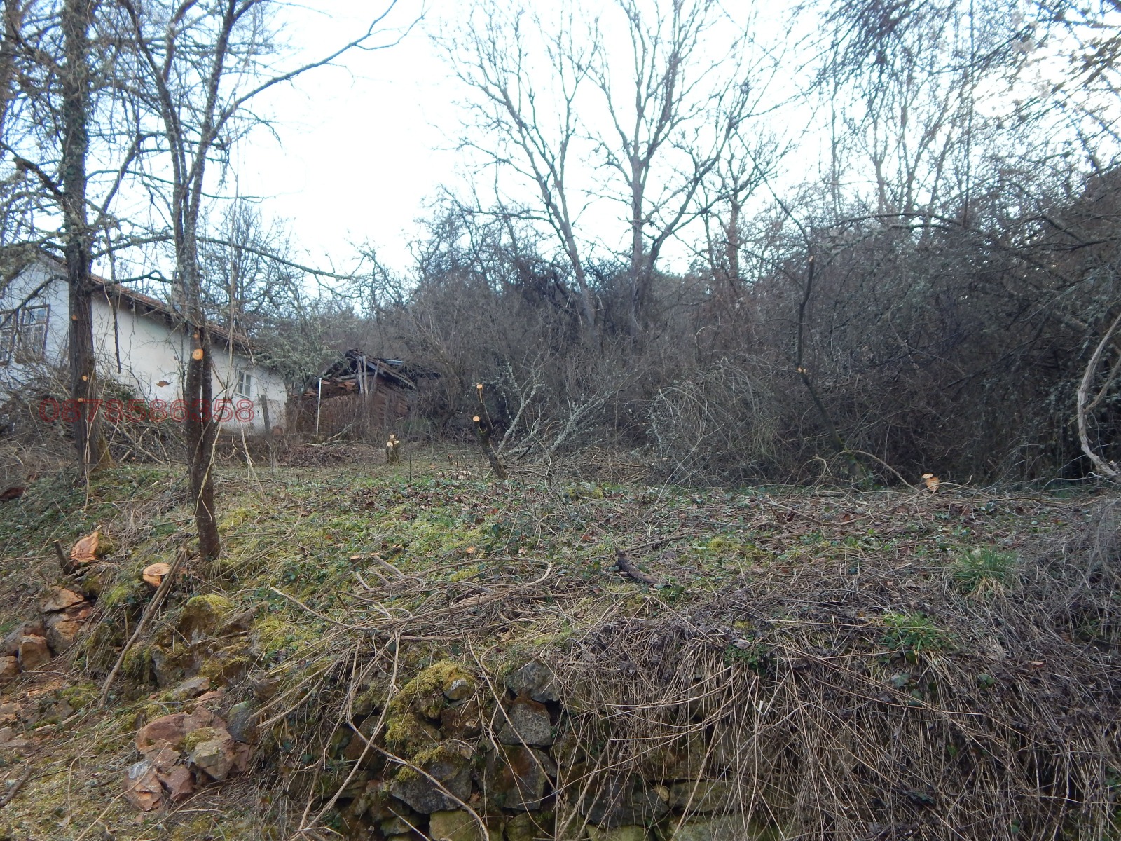 ������� ������ | Imot.bg � ����������� 8