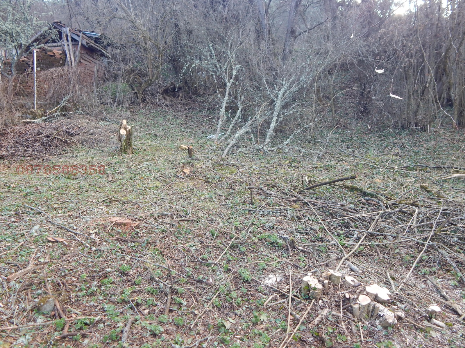 ������� ������ | Imot.bg � ����������� 11