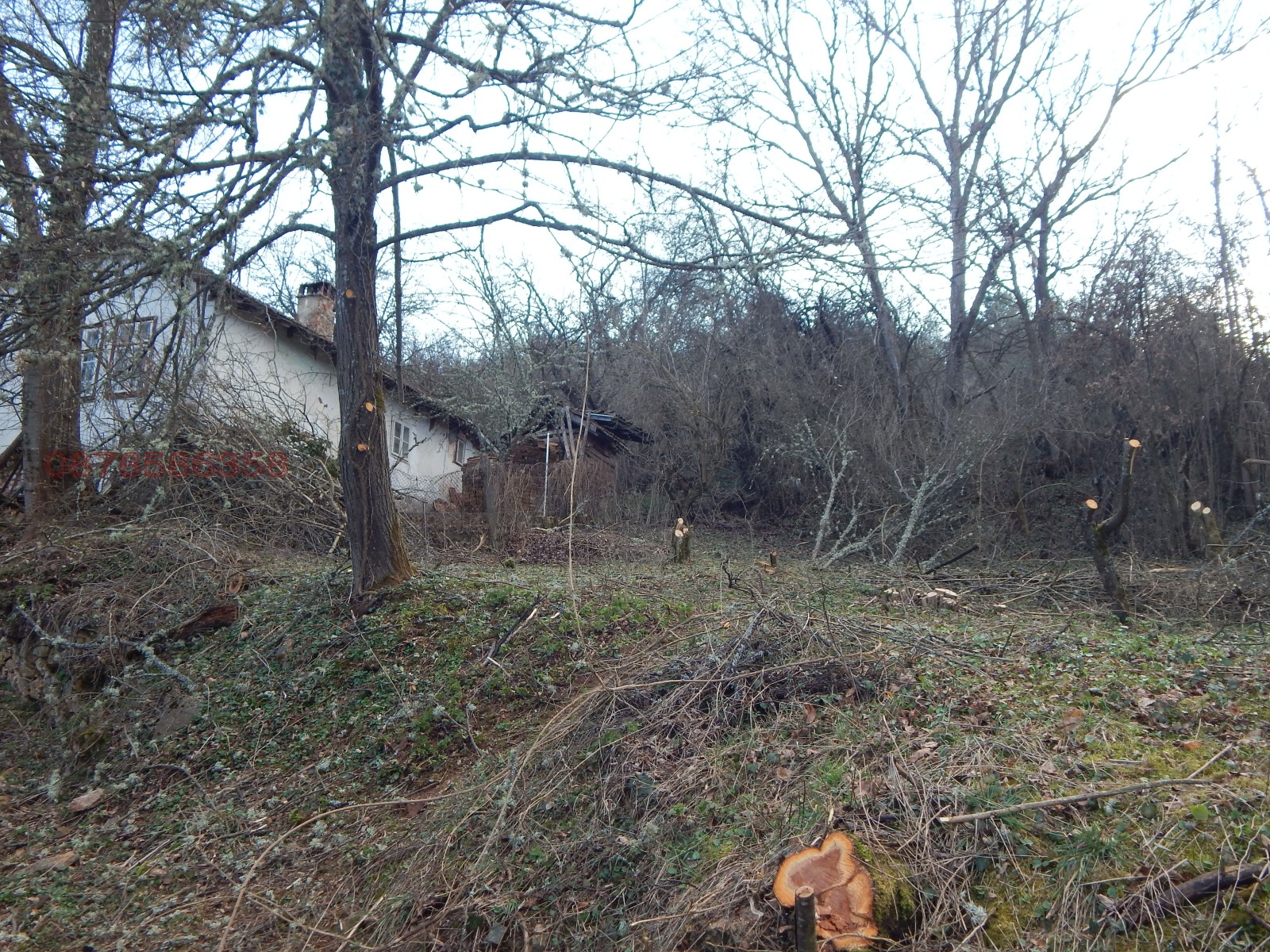 ������� ������ | Imot.bg � ����������� 10