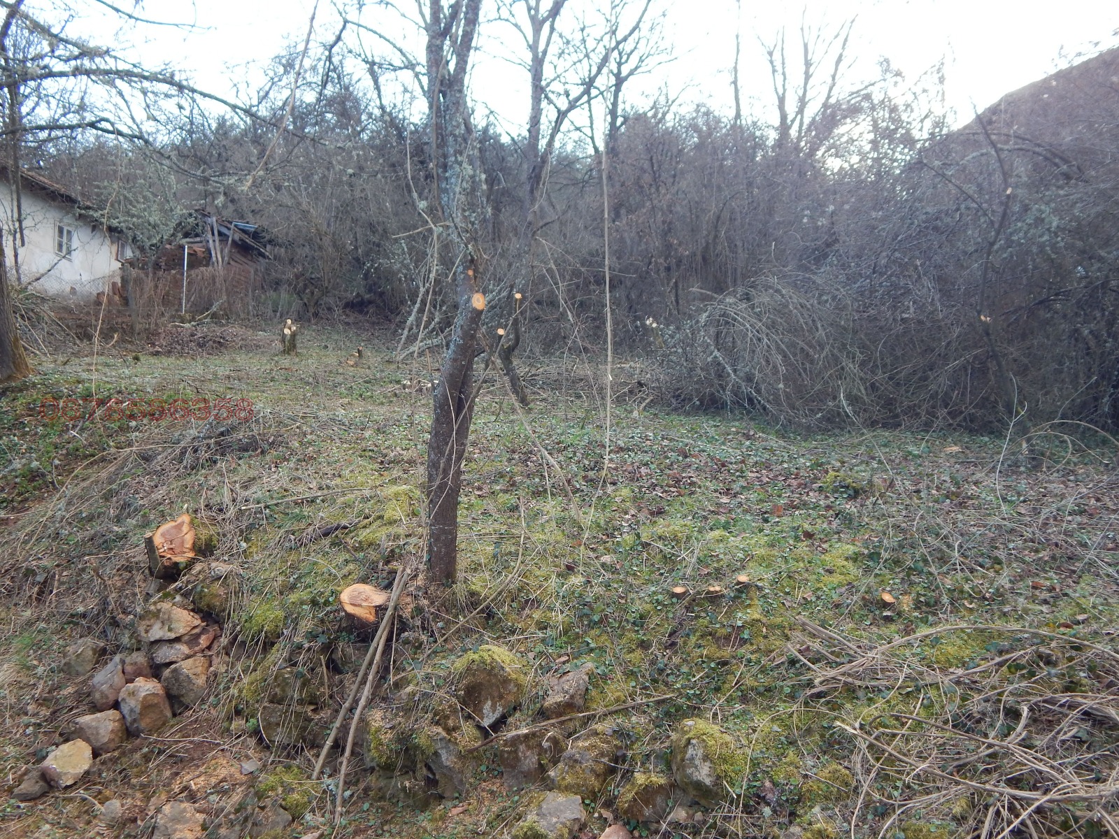 ������� ������ | Imot.bg � ����������� 5