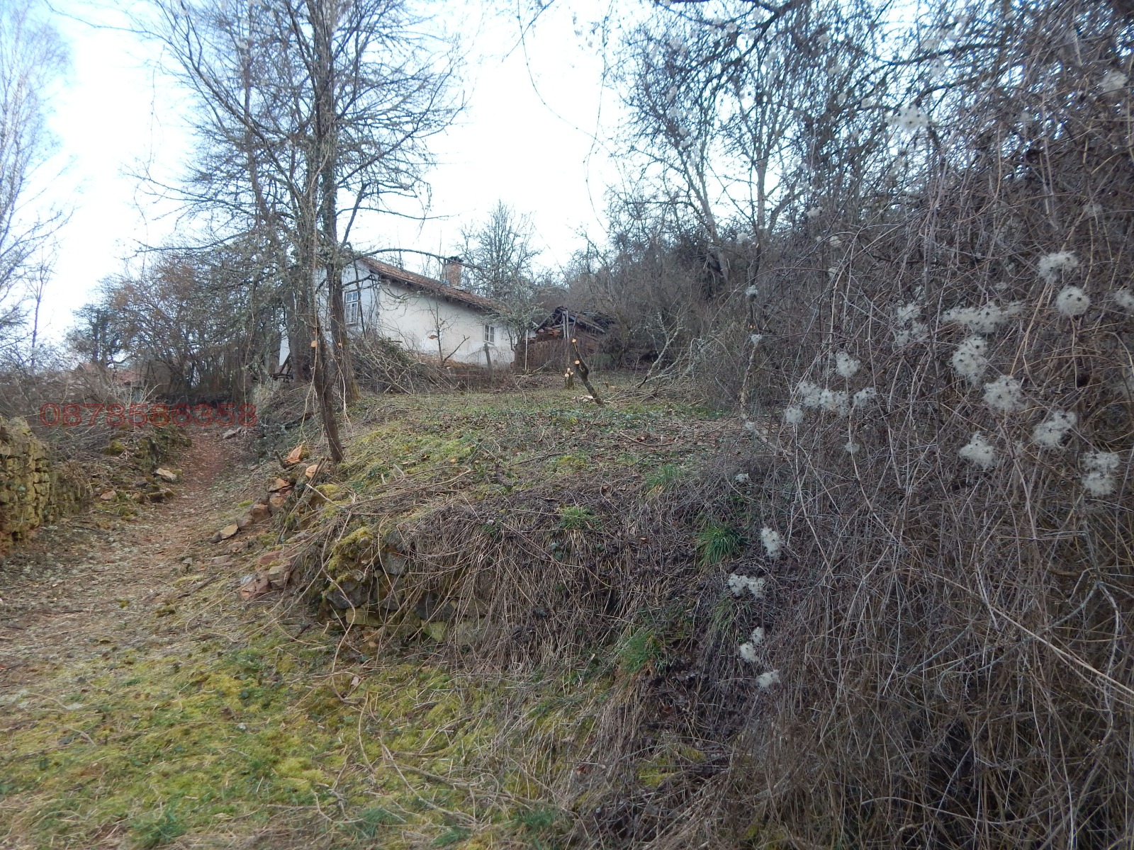 ������� ������ | Imot.bg � ����������� 1