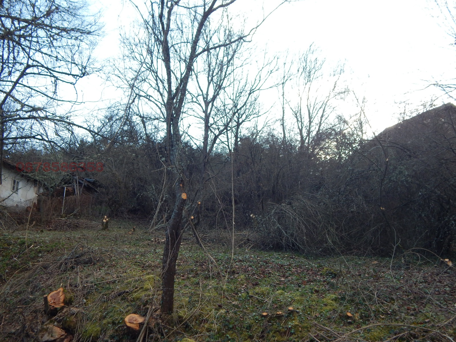 ������� ������ | Imot.bg � ����������� 4