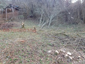 ������� ������ | Imot.bg � ����� ������ 11