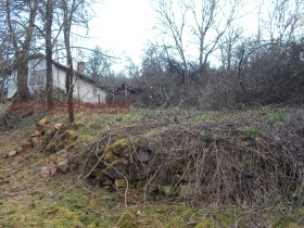 ������� ������ | Imot.bg � ����� ������ 7