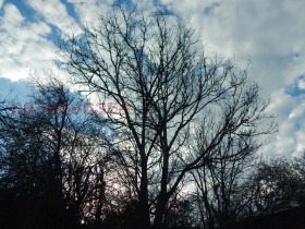 ������� ������ | Imot.bg � ����� ������ 17