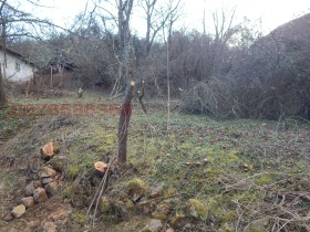 ������� ������ | Imot.bg � ����� ������ 5