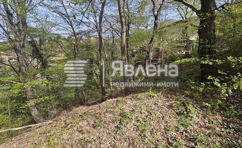 In vendita  Complotto Sofia , v.z.Kiliite , 1180 mq | 49058544 - Immagine [4]