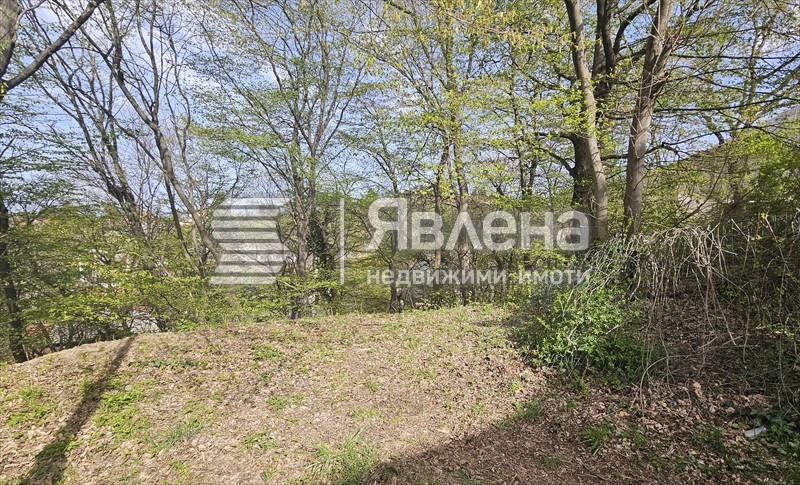 In vendita  Complotto Sofia , v.z.Kiliite , 1180 mq | 49058544 - Immagine [2]