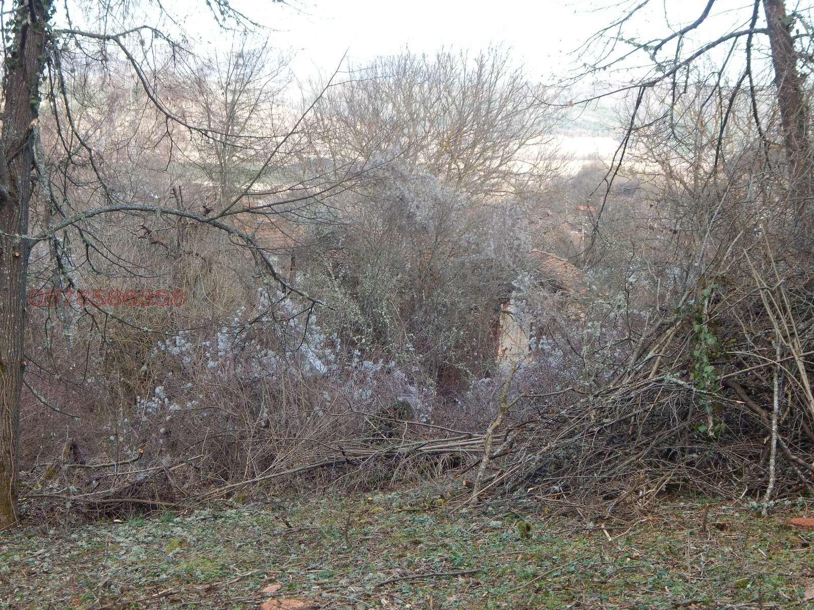 Продава ПАРЦЕЛ, с. Радово, област Перник, снимка 14 - Парцели - 53854372