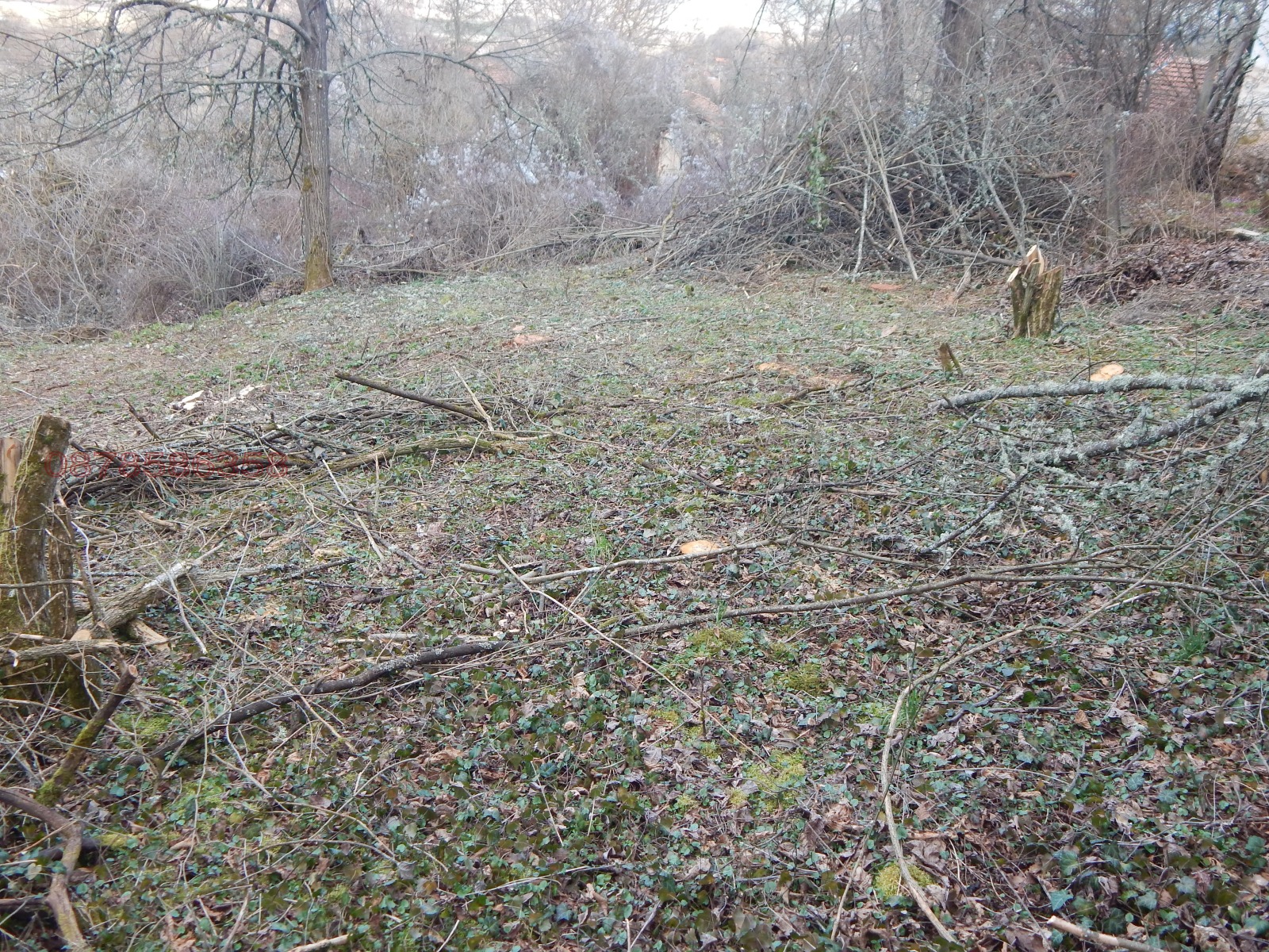 Продава ПАРЦЕЛ, с. Радово, област Перник, снимка 12 - Парцели - 53854372