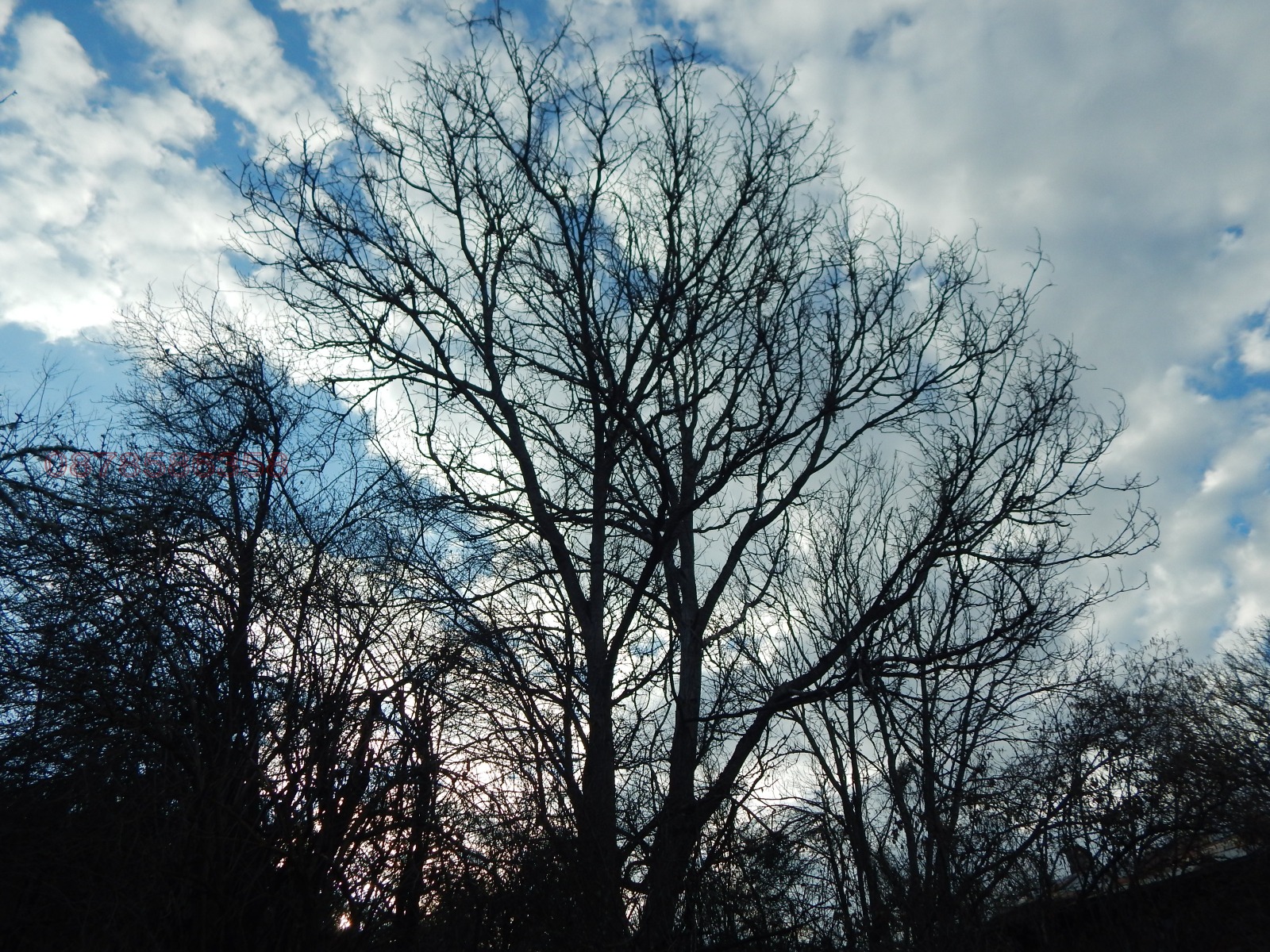 Продава ПАРЦЕЛ, с. Радово, област Перник, снимка 16 - Парцели - 53854372