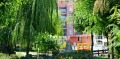 Продава  1-стаен област Бургас , к.к. Слънчев бряг , 36 кв.м | 81145734 - изображение [5]