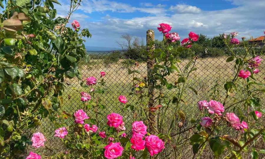 Продава КЪЩА | Imot.bg — изображение 1