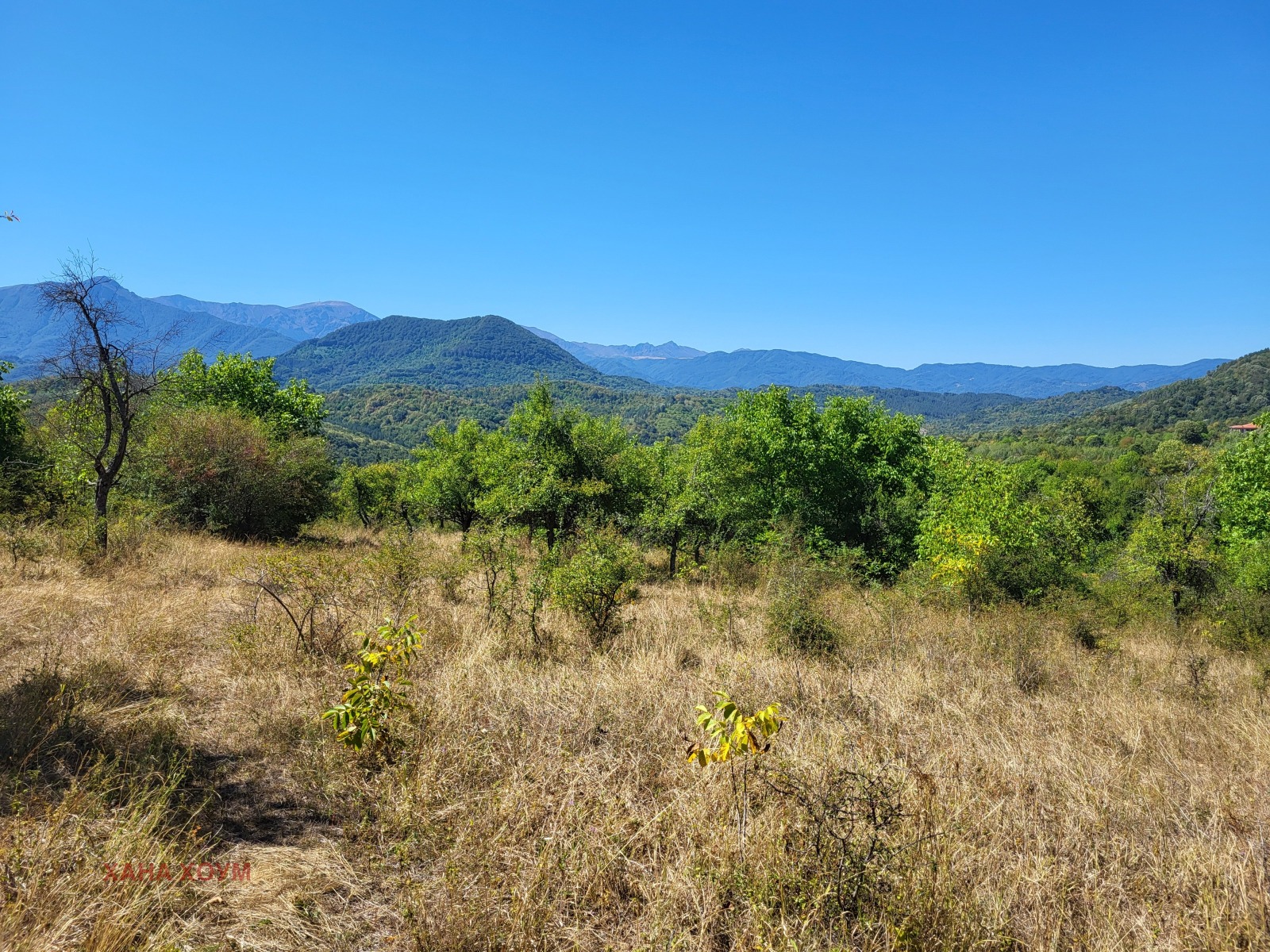 Продава ПАРЦЕЛ | Imot.bg — изображение 8