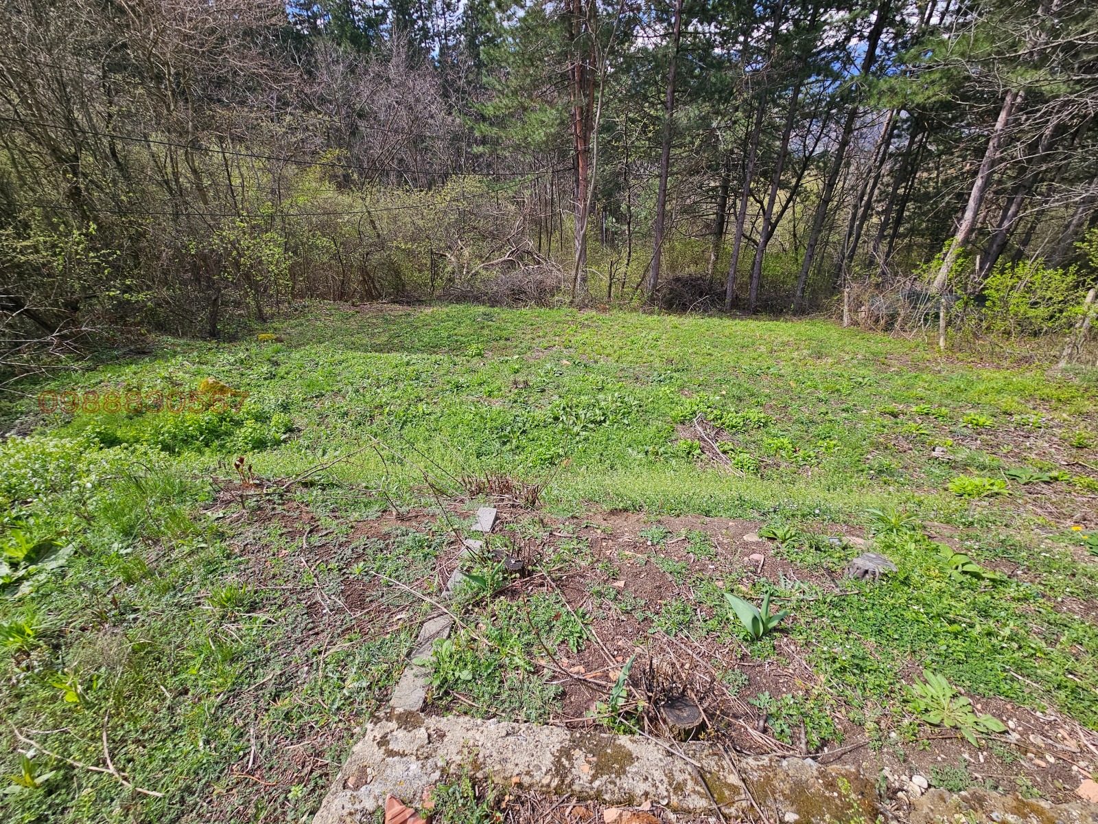 ������� ������ | Imot.bg � ����������� 7