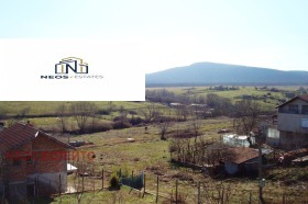 ������ ������� ����