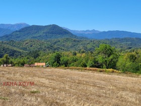 For Sale Plot