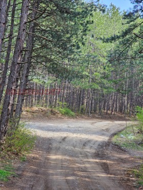 ������� ������ | Imot.bg � ����� ������ 3