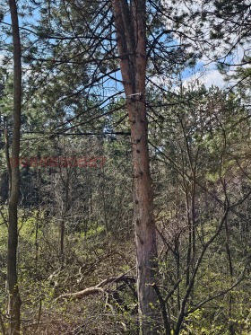 ������� ������ | Imot.bg � ����� ������ 11