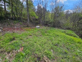 ������ ������� ������