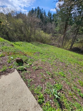 ������� ������ | Imot.bg � ����� ������ 10