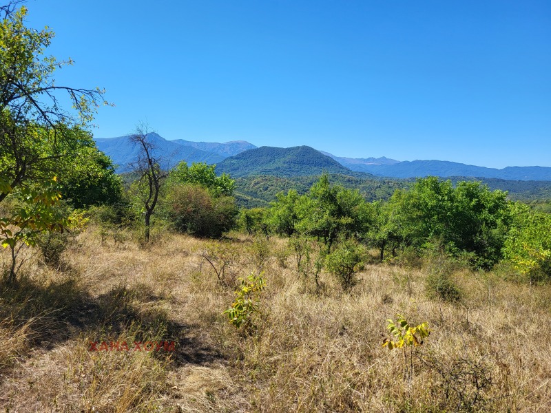 Προς πώληση  Οικόπεδο περιοχή Γκάμπροβο , Κραβενηκ , 4830 τ.μ | 67728850 - εικόνα [5]
