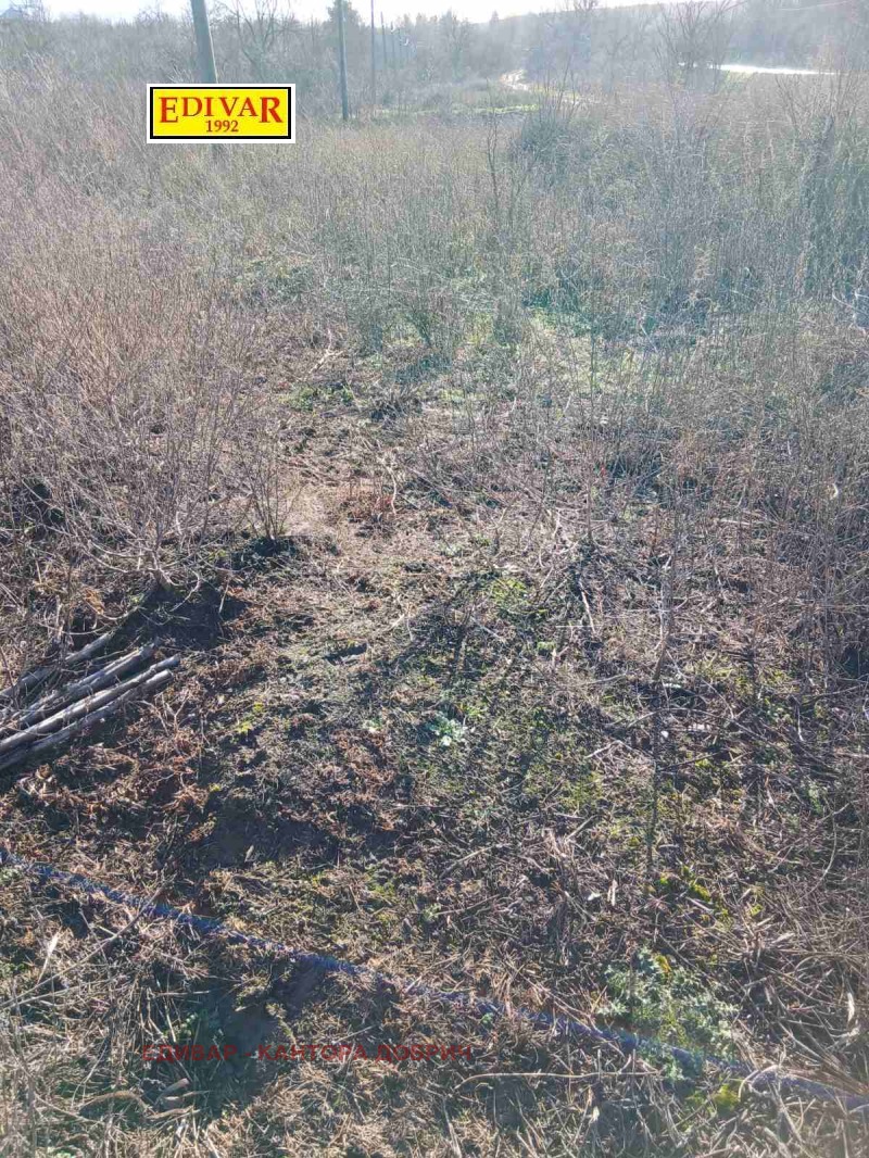 Продава ПАРЦЕЛ, с. Изворово, област Добрич