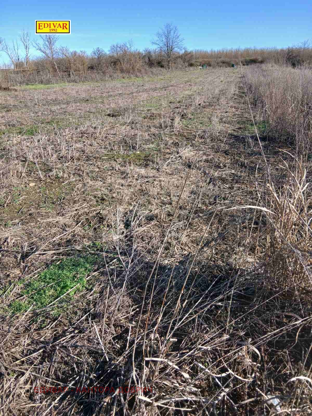 Продава ПАРЦЕЛ, с. Изворово, област Добрич, снимка 2 - Парцели - 53032019