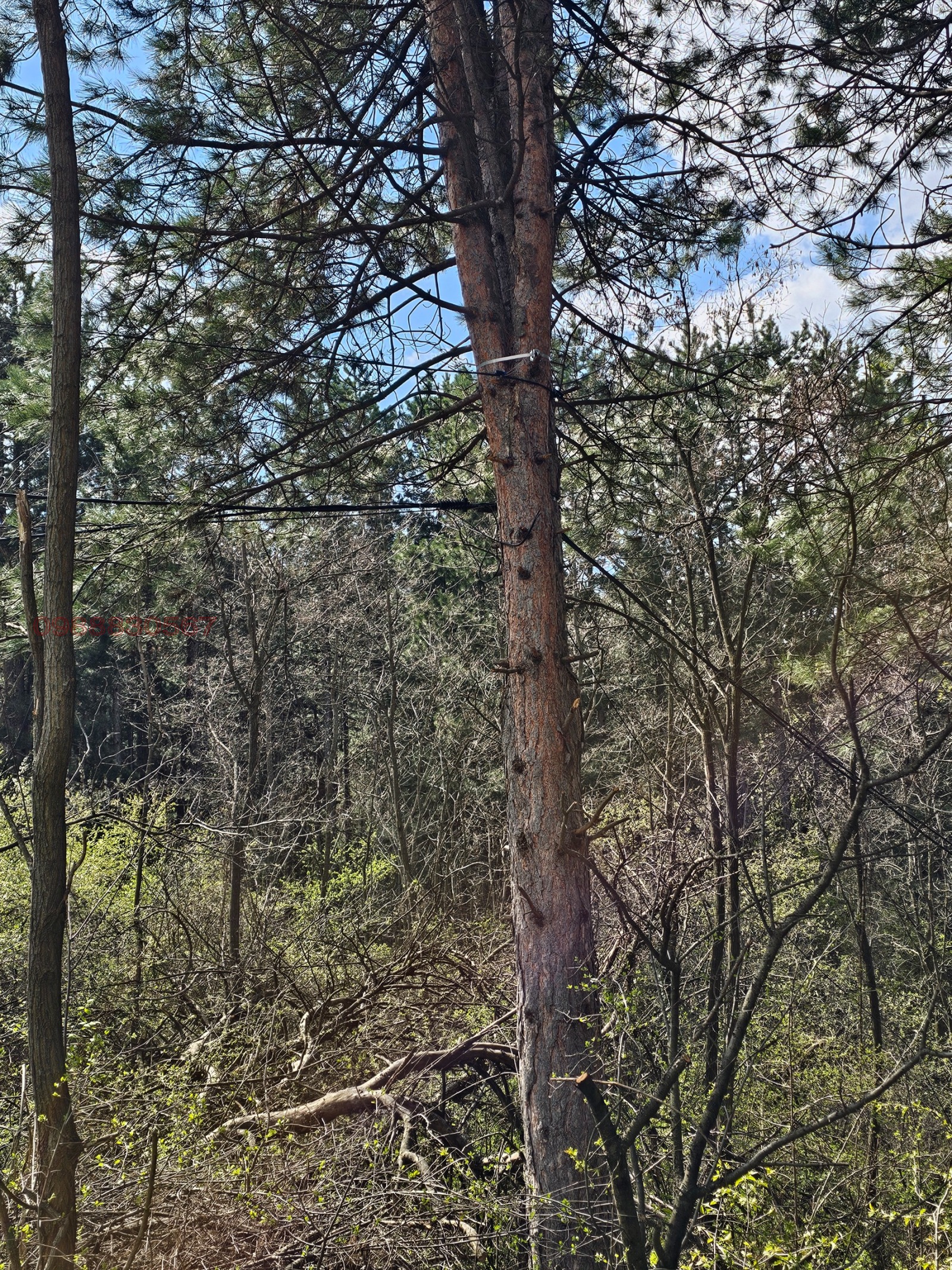 Продава ПАРЦЕЛ, гр. София, с. Герман, снимка 11 - Парцели - 53706510