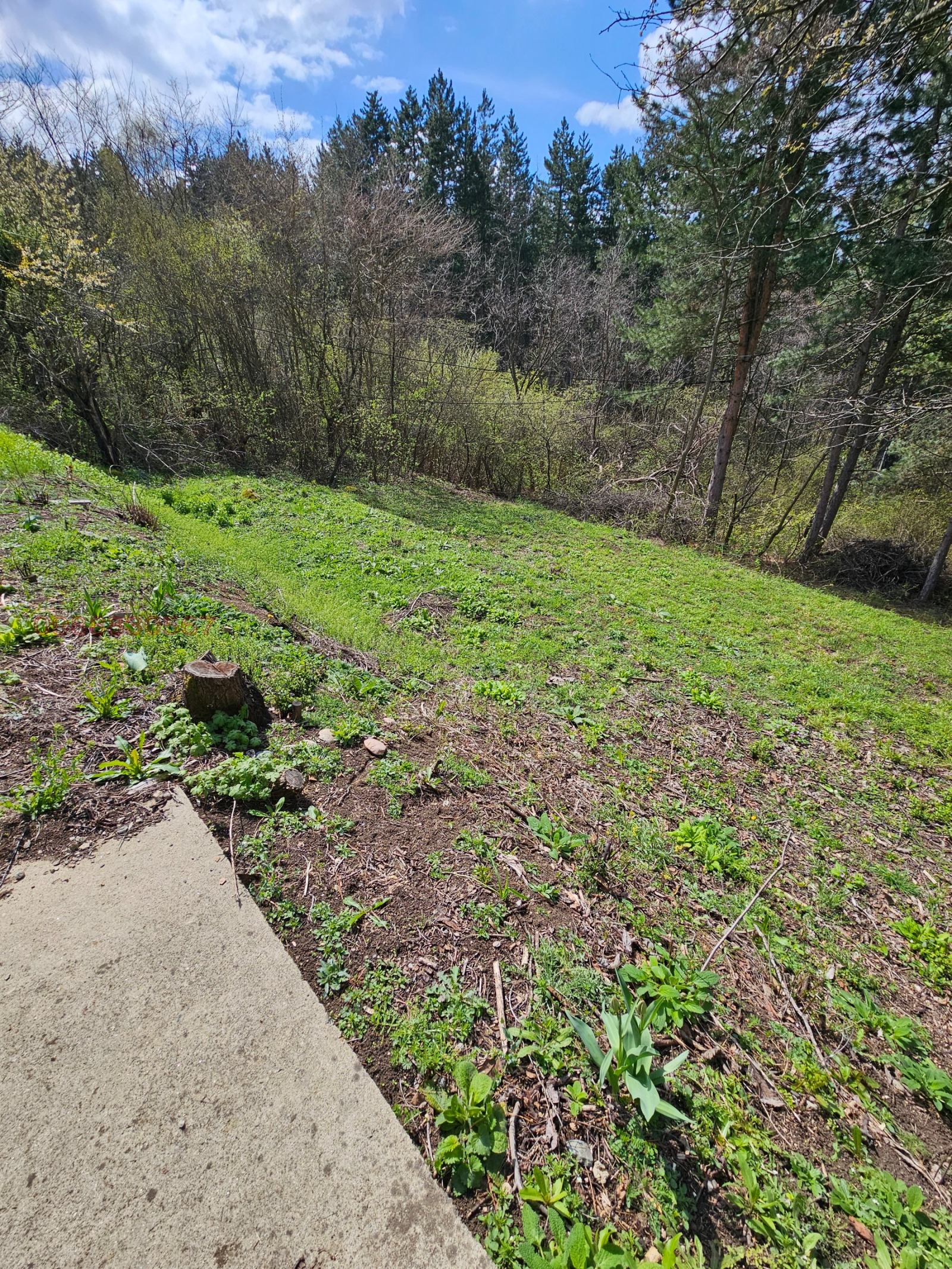 Продава ПАРЦЕЛ, гр. София, с. Герман, снимка 10 - Парцели - 53706510