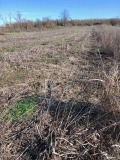 Продава ПАРЦЕЛ, с. Изворово, област Добрич, снимка 2