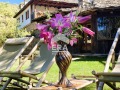 Продава ХОТЕЛ, област Благоевград, с. Ковачевица • 1450000 € • 71612411 — Holmes.bg