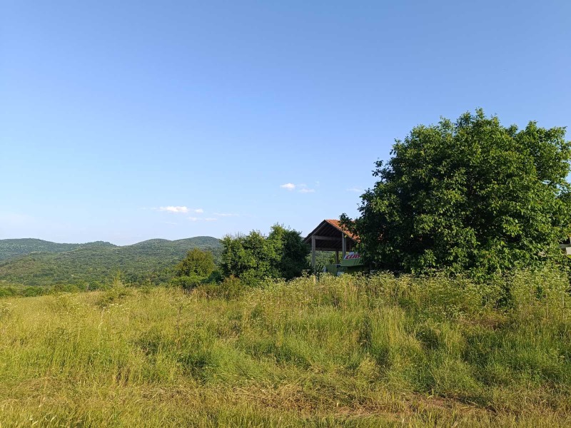 Til salgs  Plott region Stara Zagora , Borilovo , 2903 kvm | 70192703 - bilde [3]