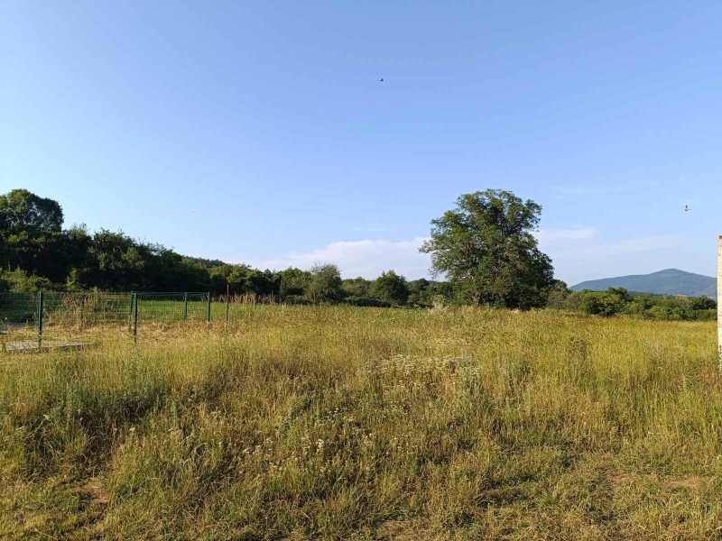 Til salgs  Plott region Stara Zagora , Borilovo , 2903 kvm | 70192703 - bilde [5]