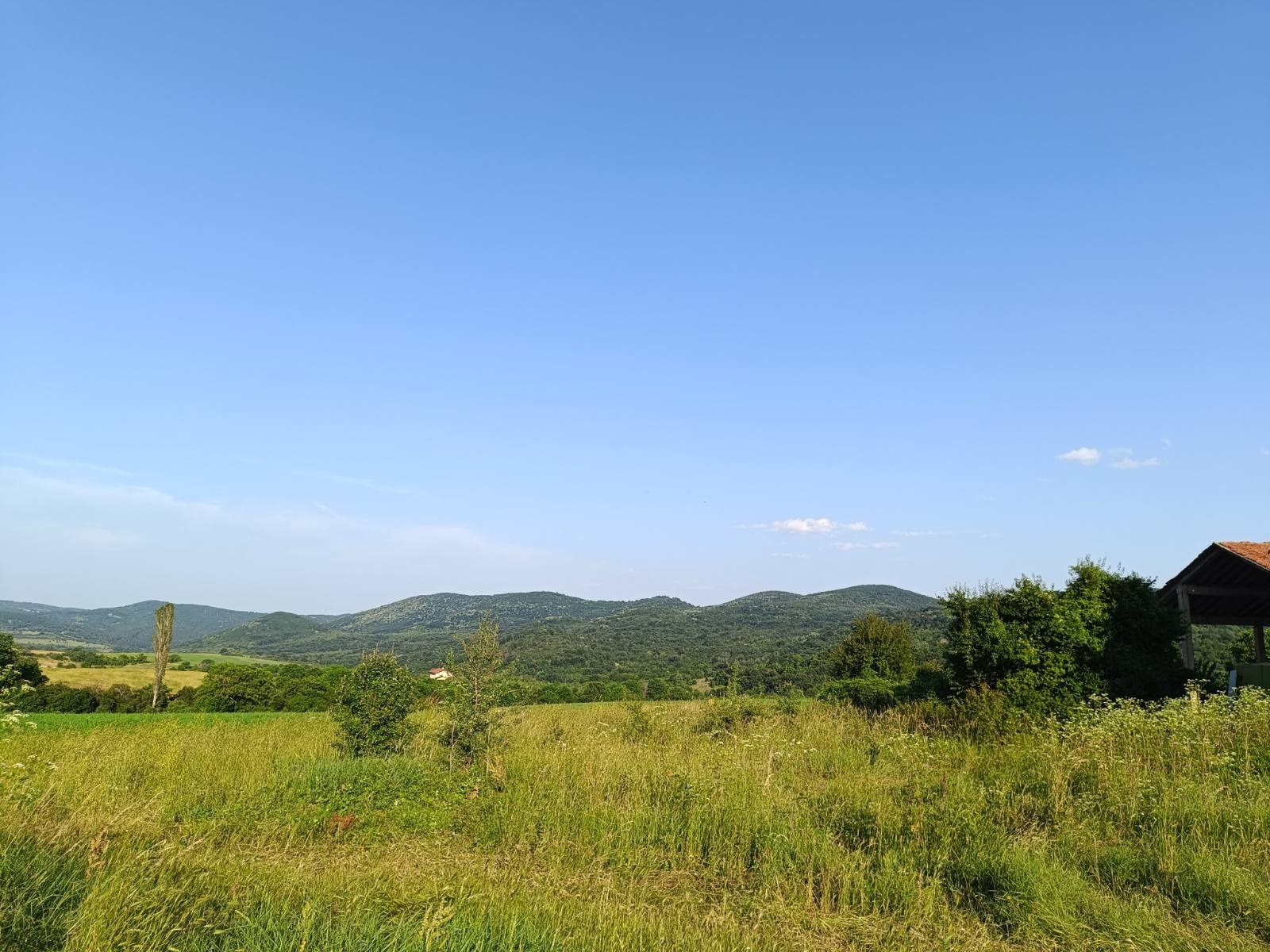 Продава ПАРЦЕЛ, с. Борилово, област Стара Загора, снимка 2 - Парцели - 36369980