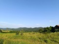 Продава ПАРЦЕЛ, с. Борилово, област Стара Загора, снимка 2