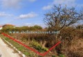 Продава ПАРЦЕЛ, гр. Бяла, област Варна, снимка 2